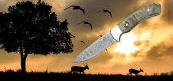 Image of BlackSteel Bushcraft | The Best Survival Knife | Sharp and Beautiful - BlackSteel Cutlery